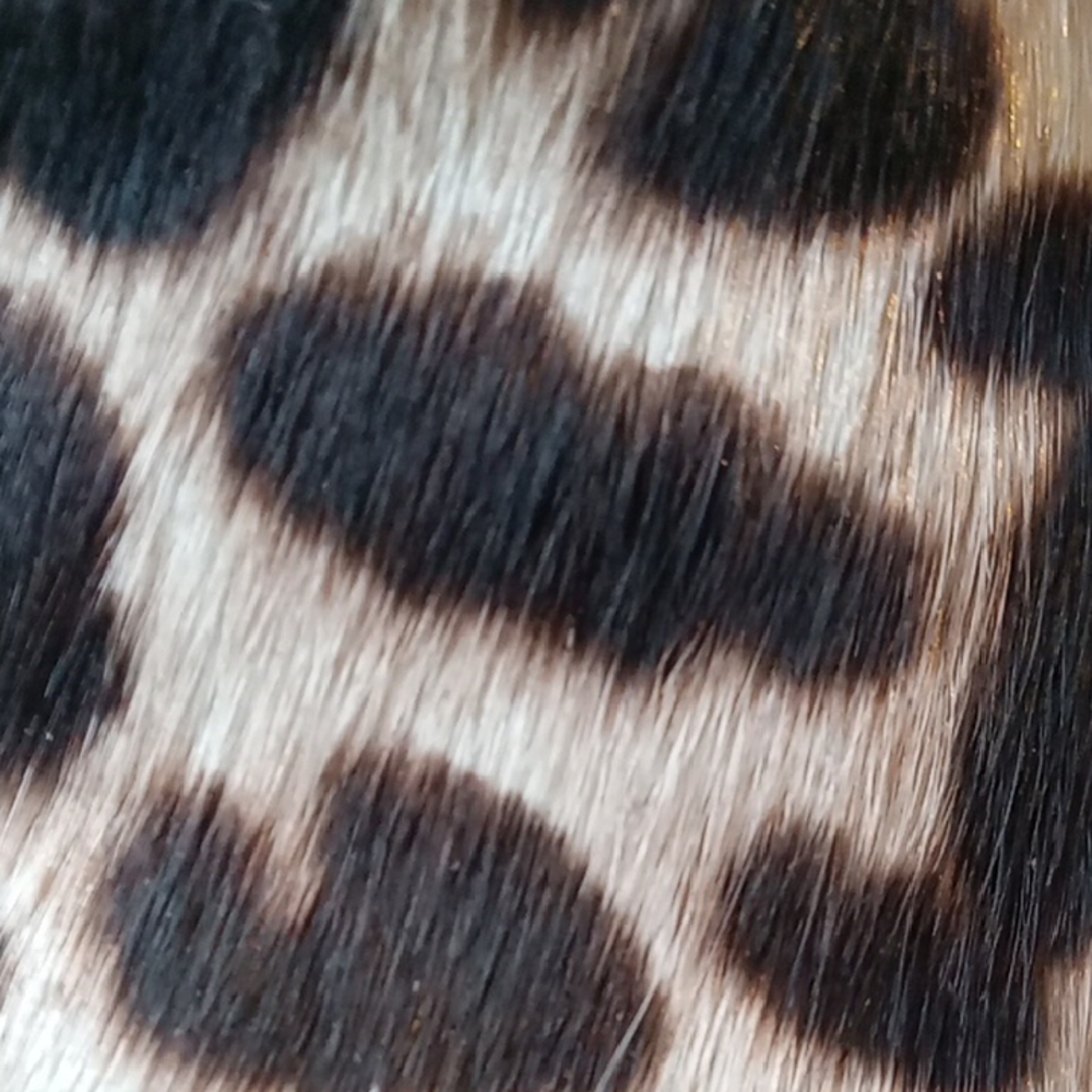 Women's Leopard Print Ankle Booties - Picture 5 of 8